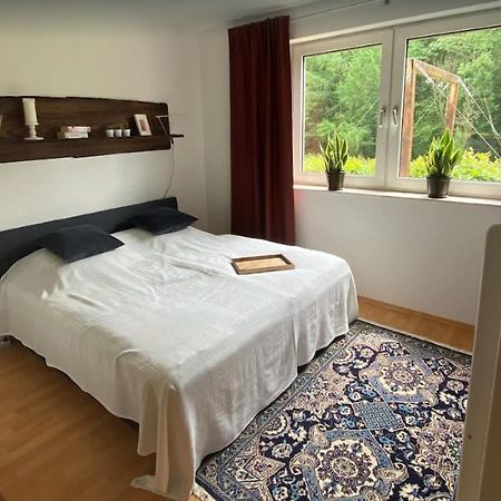 Haus Wiesengrund 빈터베르크 외부 사진